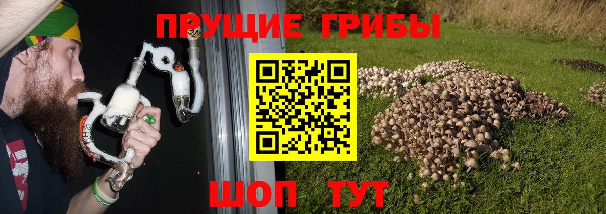 Галлюциногенные грибы GOLDEN TEACHER  Псилоцибиновые грибы ЛСД  Вход с VPN  Мыски 